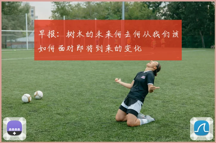 早报：树木的未来何去何从我们该如何面对即将到来的变化