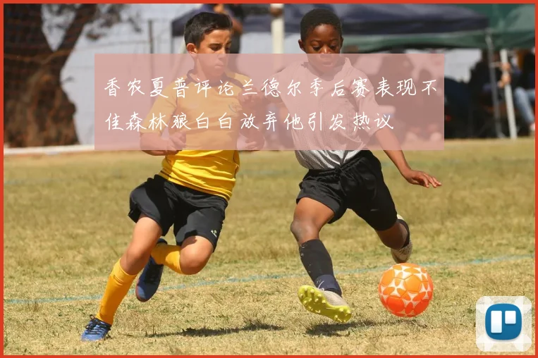 香农夏普评论兰德尔季后赛表现不佳森林狼白白放弃他引发热议
