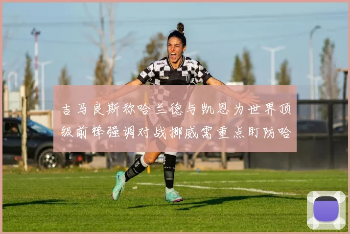 吉马良斯称哈兰德与凯恩为世界顶级前锋强调对战挪威需重点盯防哈兰德